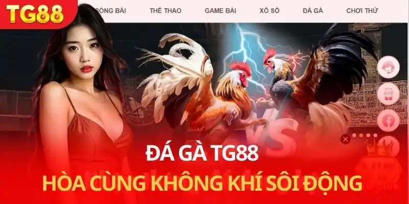 Đá Gà TG88