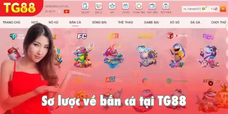 Sơ lược về bắn cá TG88