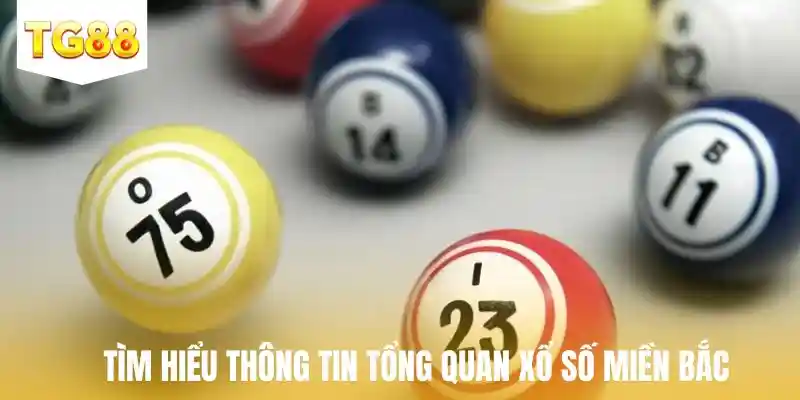 Tìm hiểu thông tin tổng quan xổ số miền bắc