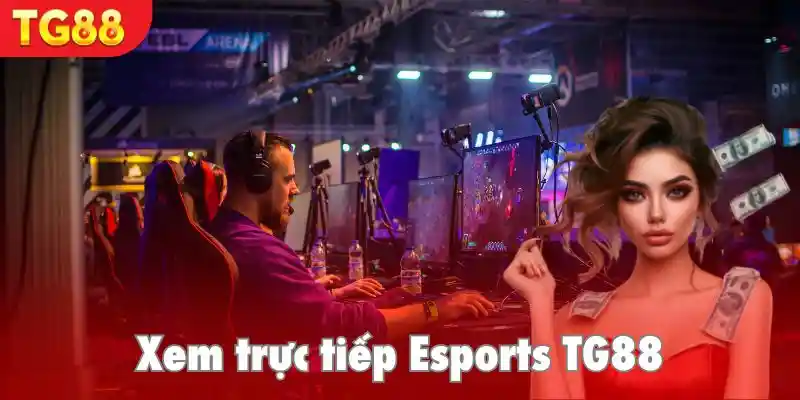 Tính năng xem live các trận đấu hấp dẫn ngay trên nền tảng