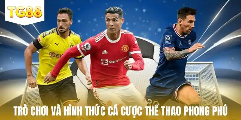 Trò chơi và hình thức cá cược thể thao phong phú